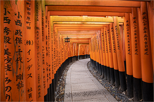 corridor surrounded by orange poles