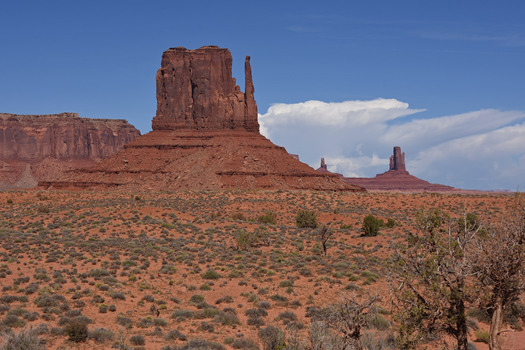 desert scene with sandstone formations in the background
