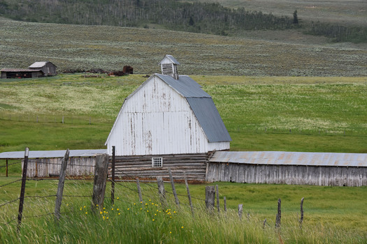white barn surrounded by pasture