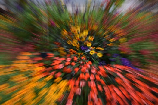 Flower patern created by changing the length on a lens while the shutter was open