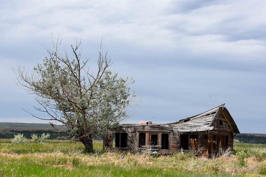 Dilapidated farmhouse